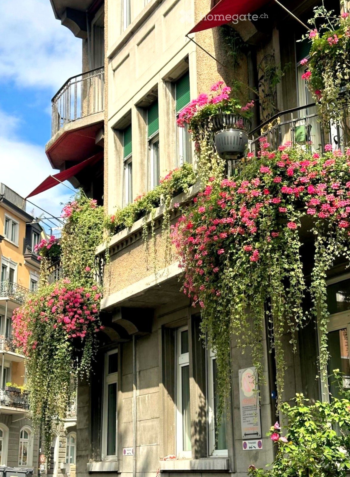 Multi-story building with balconies adorned with vibrant pink flowers and green foliage, creating a picturesque urban scene.