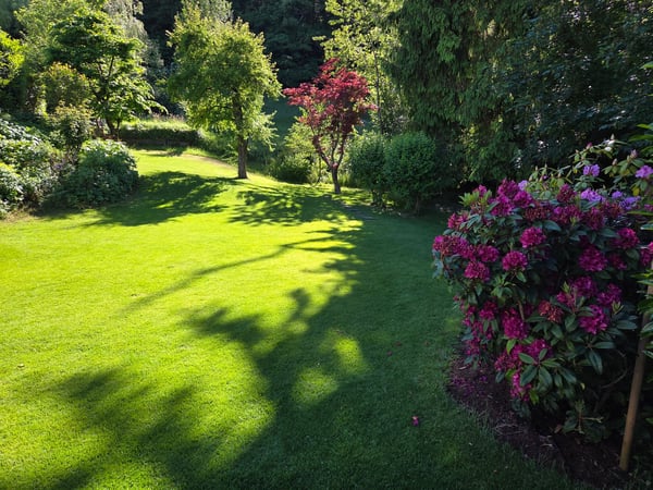 Exklusive 6.5-Zimmer-Wohnung mit Panoramablick in Horgen 4