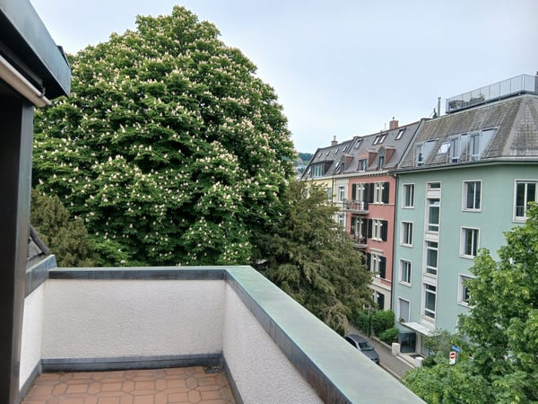 Charmante 2.5-Zimmerwohnung beim Artergut in Zürich-Hottingen 2