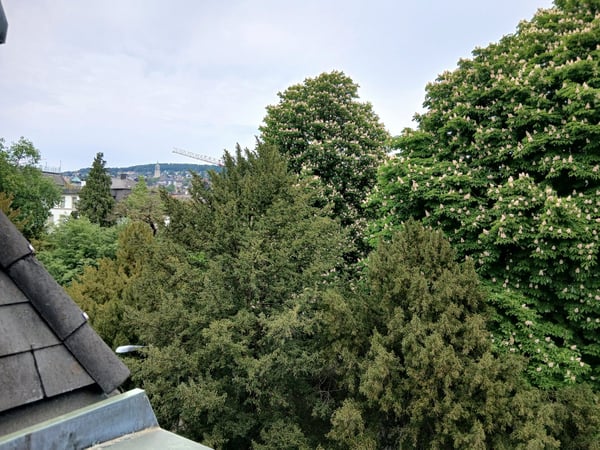 Charmante 2.5-Zimmerwohnung beim Artergut in Zürich-Hottingen 3
