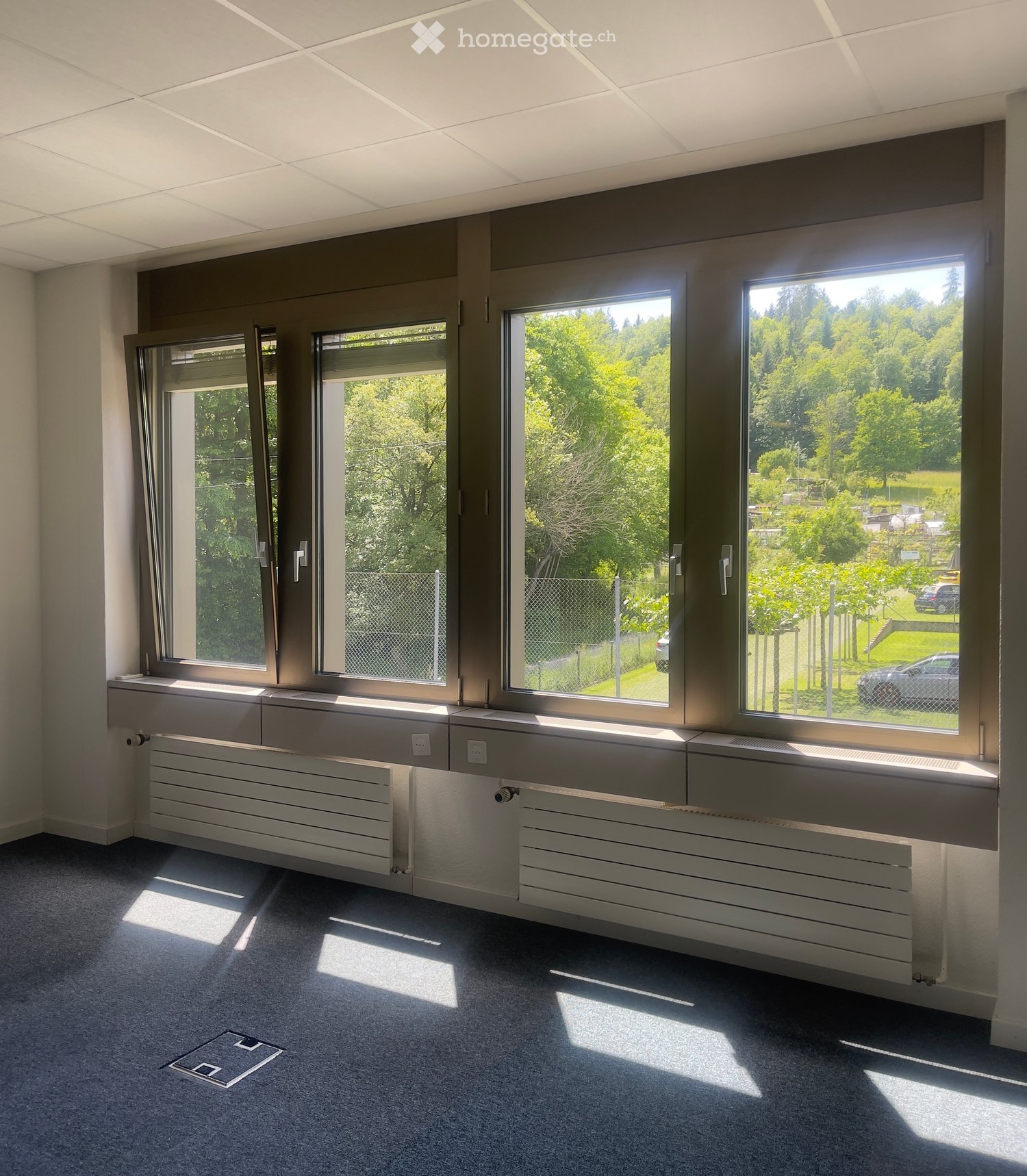 Empty room with large windows, radiators, and grey carpeted floor. No furniture or equipment present.