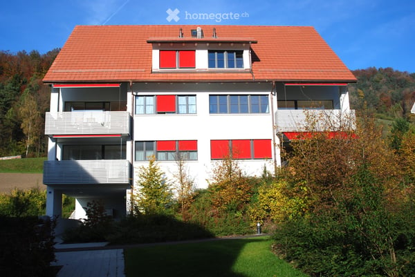 Sonnige Wohnung in der Nähe des Türlersees zu vermieten 2