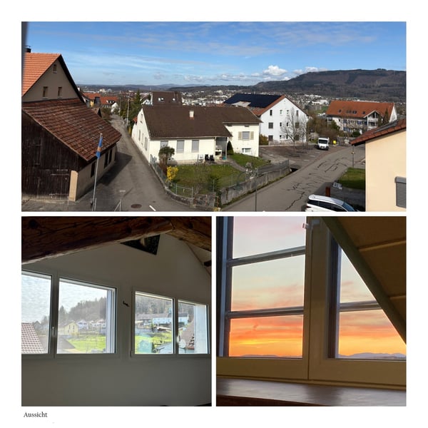 Stilvolle 4-Zi.-Maisonette, lichtdurchflutetem Wohnbereich,charaktervollen Altholzbalken,ruhige Lage 6