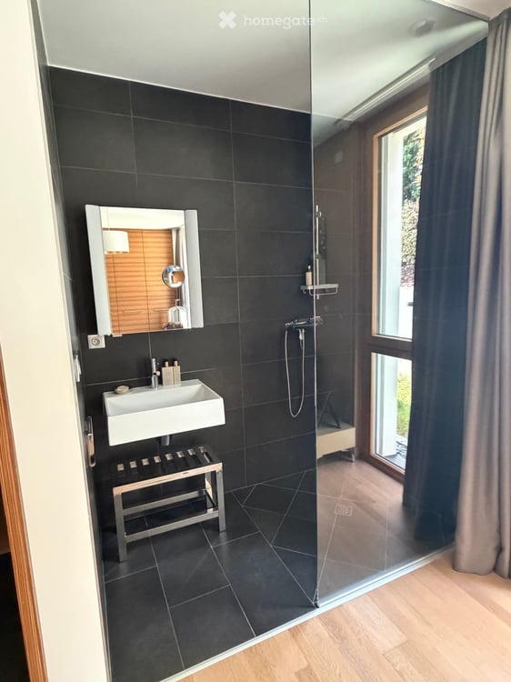 Modernes Haus mit Pool, 10 Min. von Basel – Maison contemporaine avec piscine (Blotzheim / France) 9