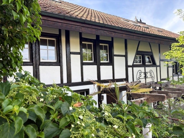 Traditional half-timbered house with white plaster and dark wooden beams, multiple windows, and a tiled roof, surrounded by greenery and plants.