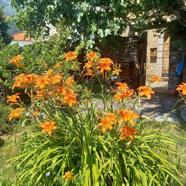 Charmant appartement de vacances avec jardin, 3,5 pièces dans un bâtiment historique à Breno 14