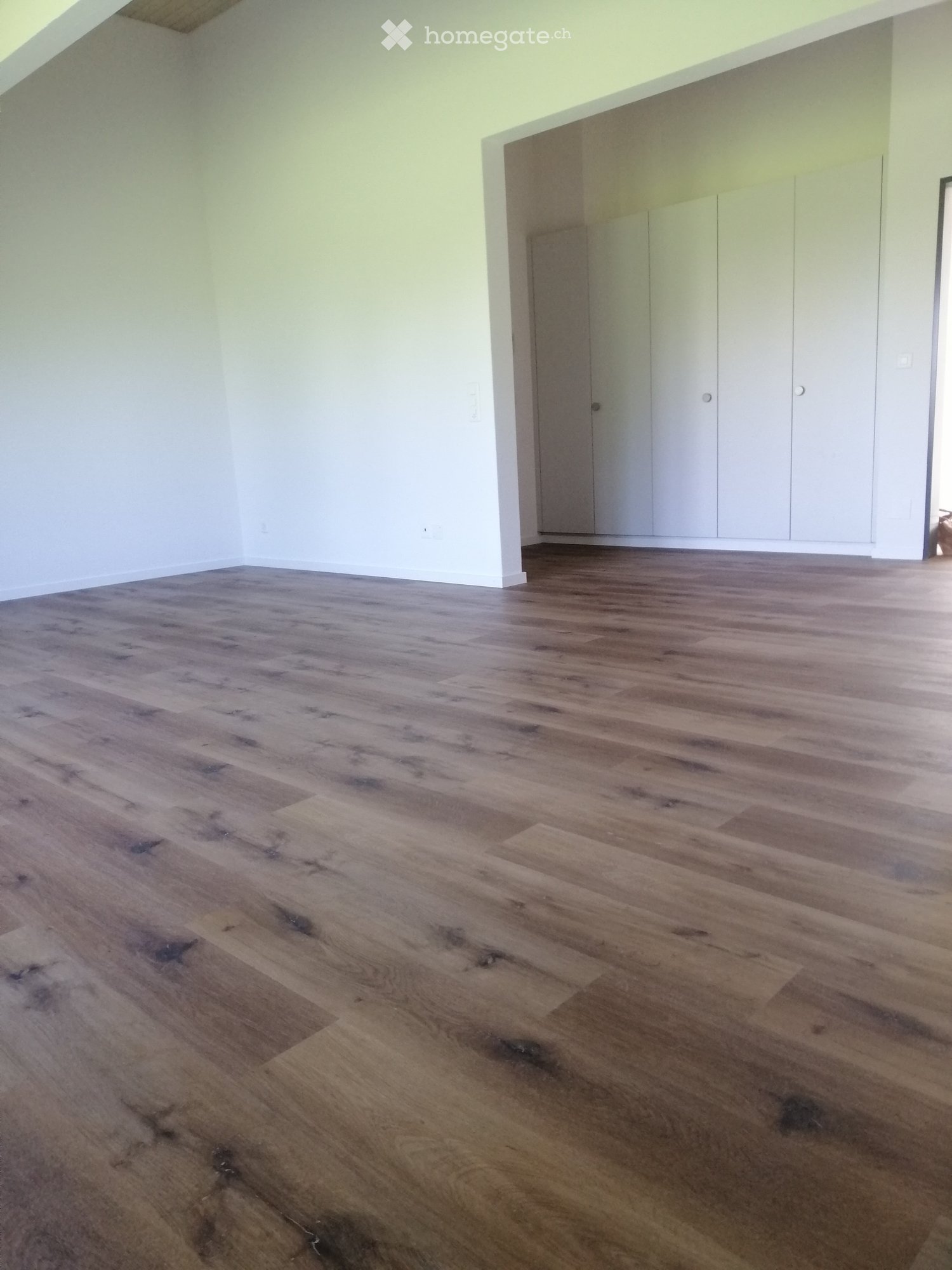 Empty room with wooden flooring and white walls, featuring built-in white closet units.