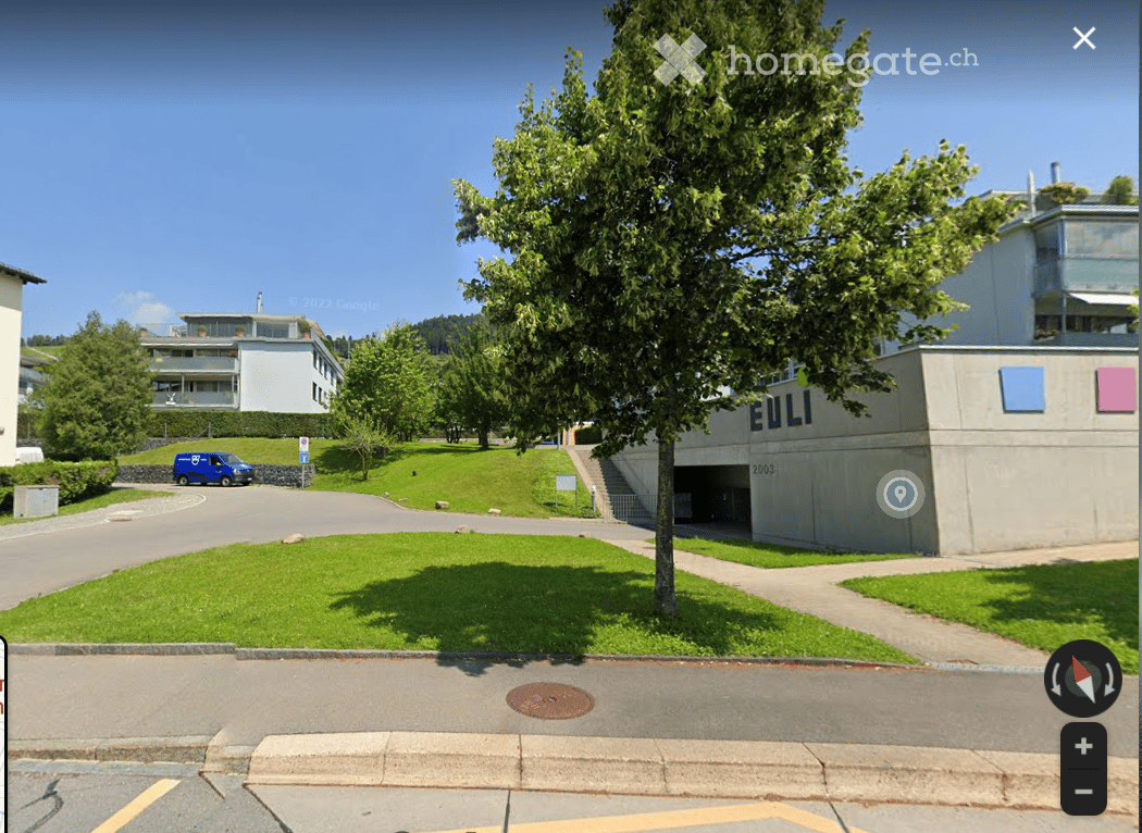 Building with a garage entrance, a tree in the middle, a blue van parked, and a grassy area.