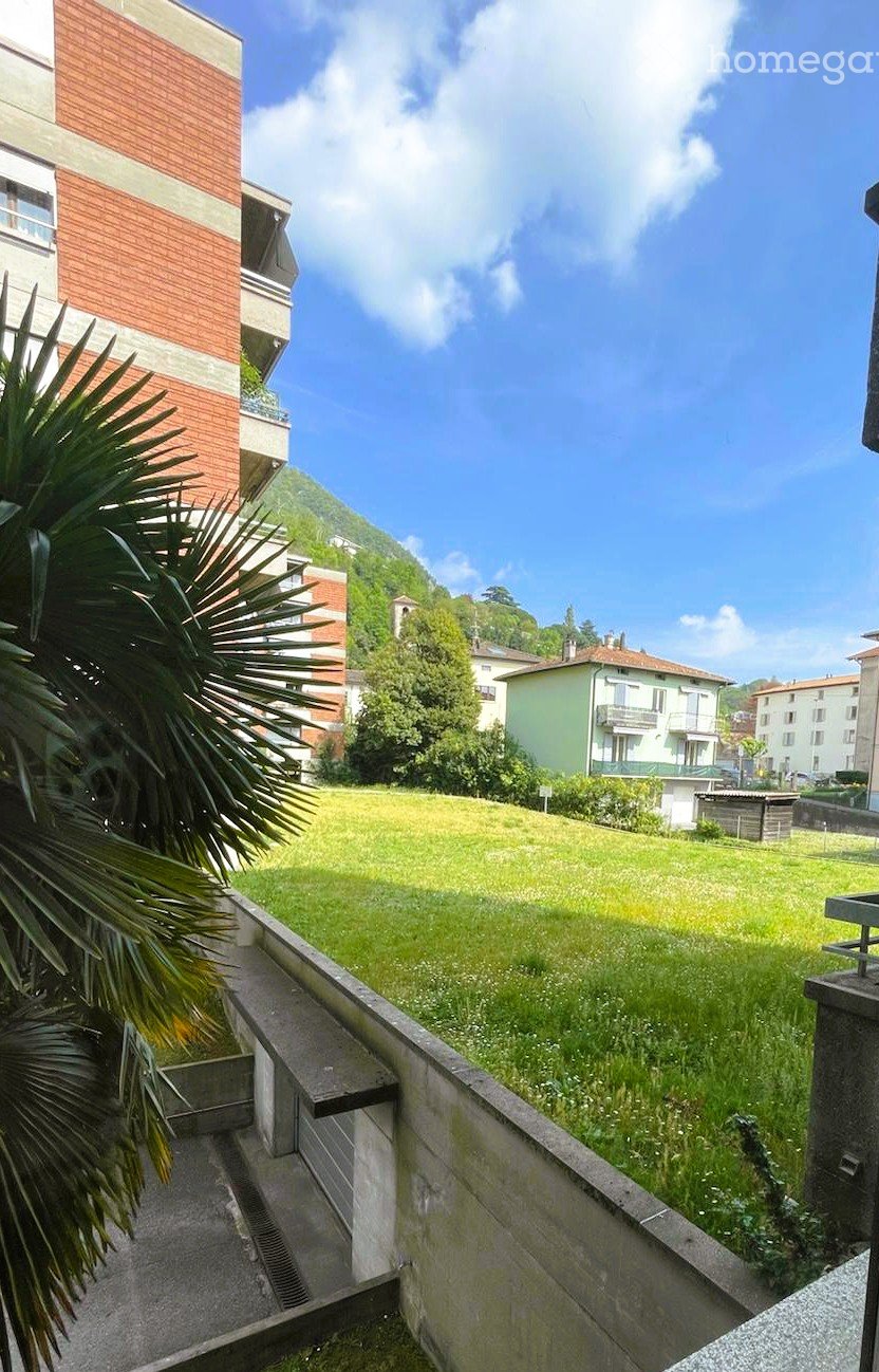 A well-maintained garden area with a grassy lawn, surrounded by a low concrete wall. A palm plant is visible in the foreground, and several residential buildings are seen in the background, including a multi-story apartment building with red brick and whi