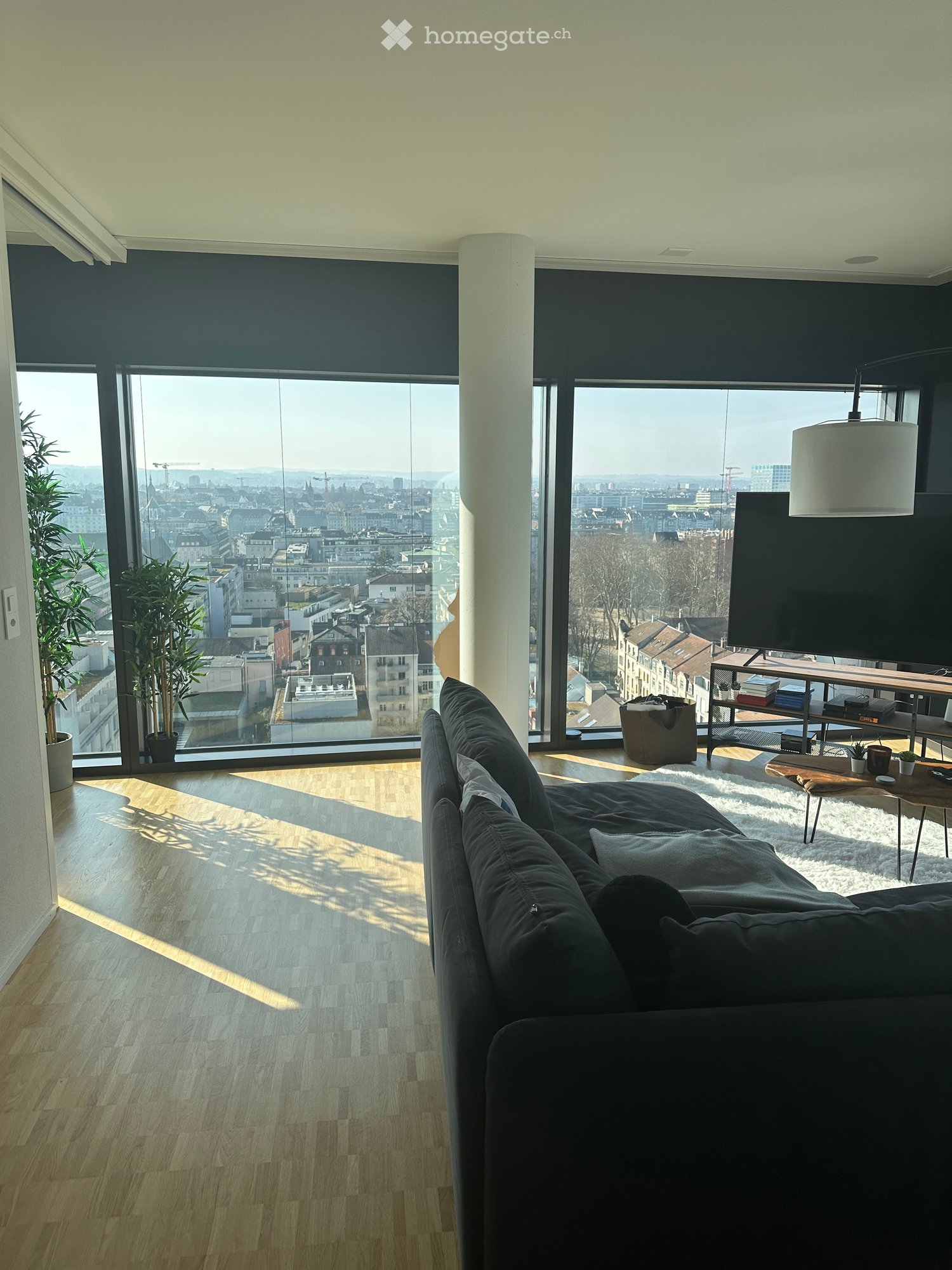 Modern living room with large windows offering a city view, dark grey sofa, coffee table, pendant light, television, side table, and potted plants.