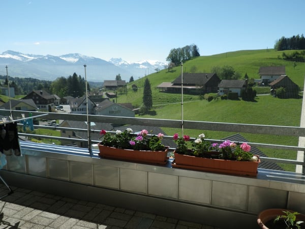 4.5-Zimmer-Wohnung mit Balkon und schöner Aussicht in Eschenbach SG 9