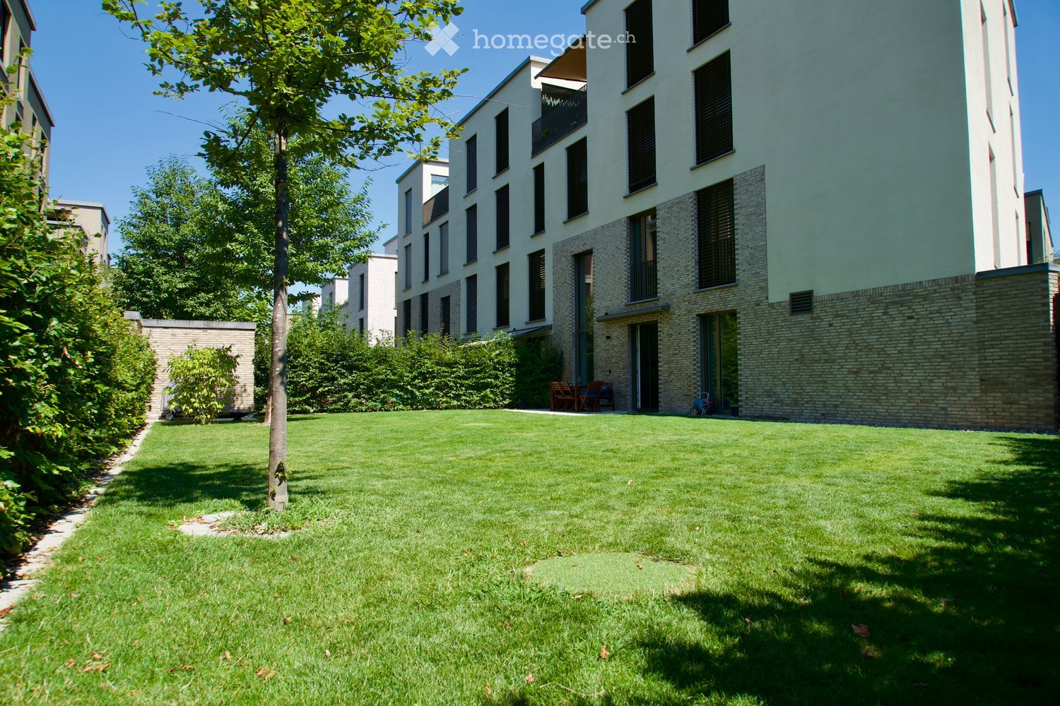 Well-maintained lawn with a tree, surrounded by modern buildings with balconies and large windows.