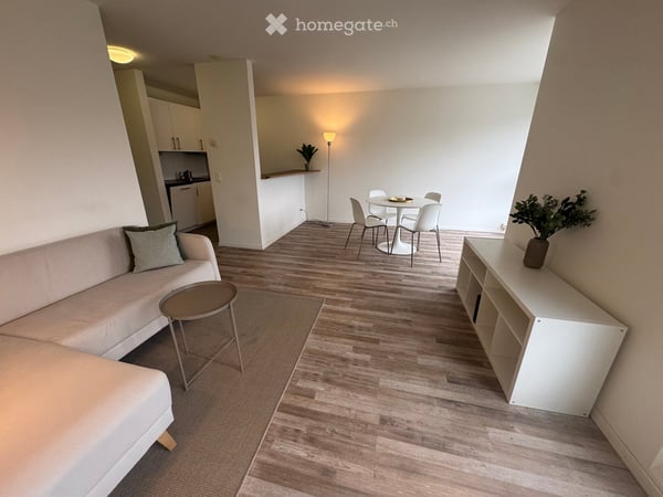 Fully furnished & equipped 2.5-room apartment in central Zug (long term) 2