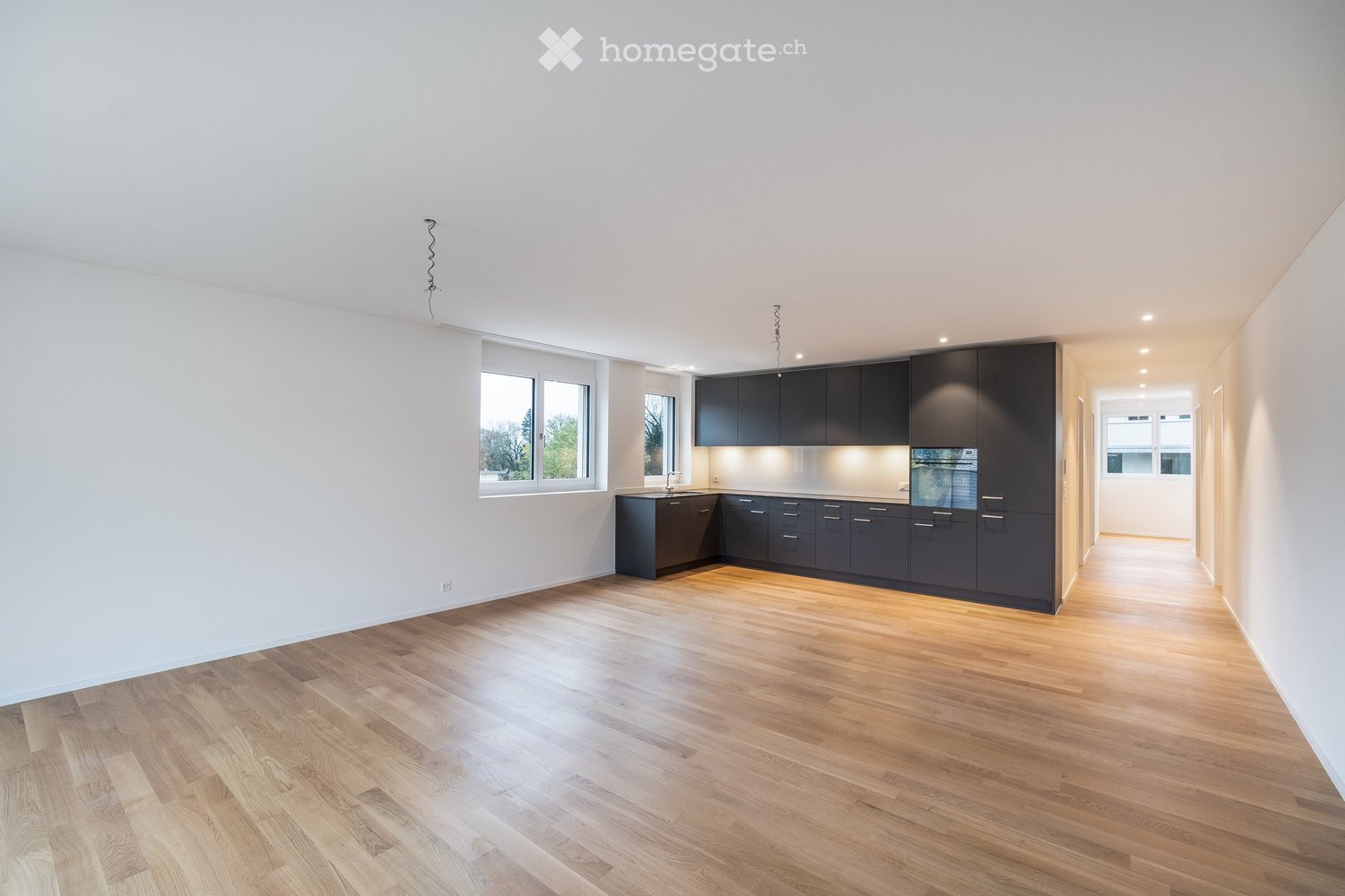 modern kitchen with wooden floor, white walls, black cabinets, sink, oven, dishwasher, windows