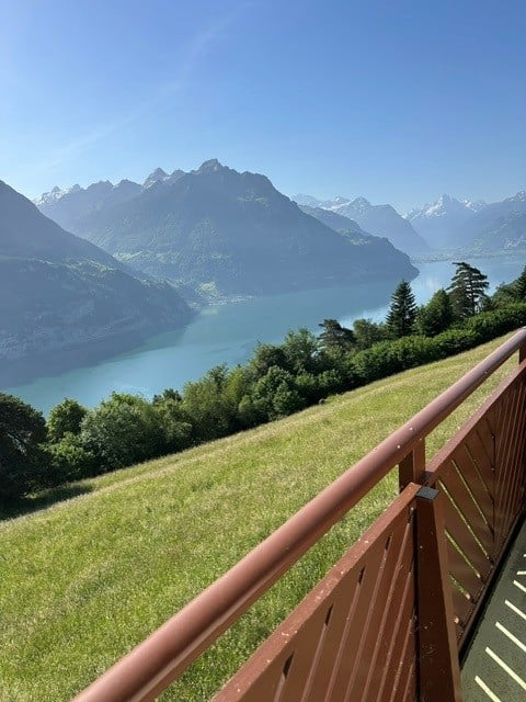 Balcony overlooking a scenic mountain lake with lush green grass and trees.