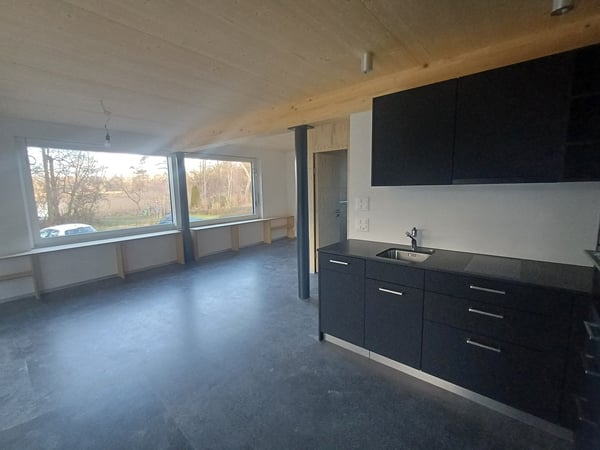 Moderne Wohnung mit Seeanstoss 6