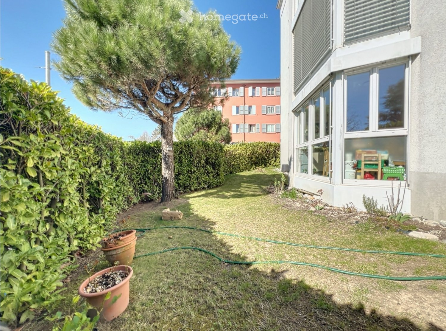 A small, well-maintained garden area with a tree, potted plants, a hose, and a pathway leading to a house with large windows and a balcony.