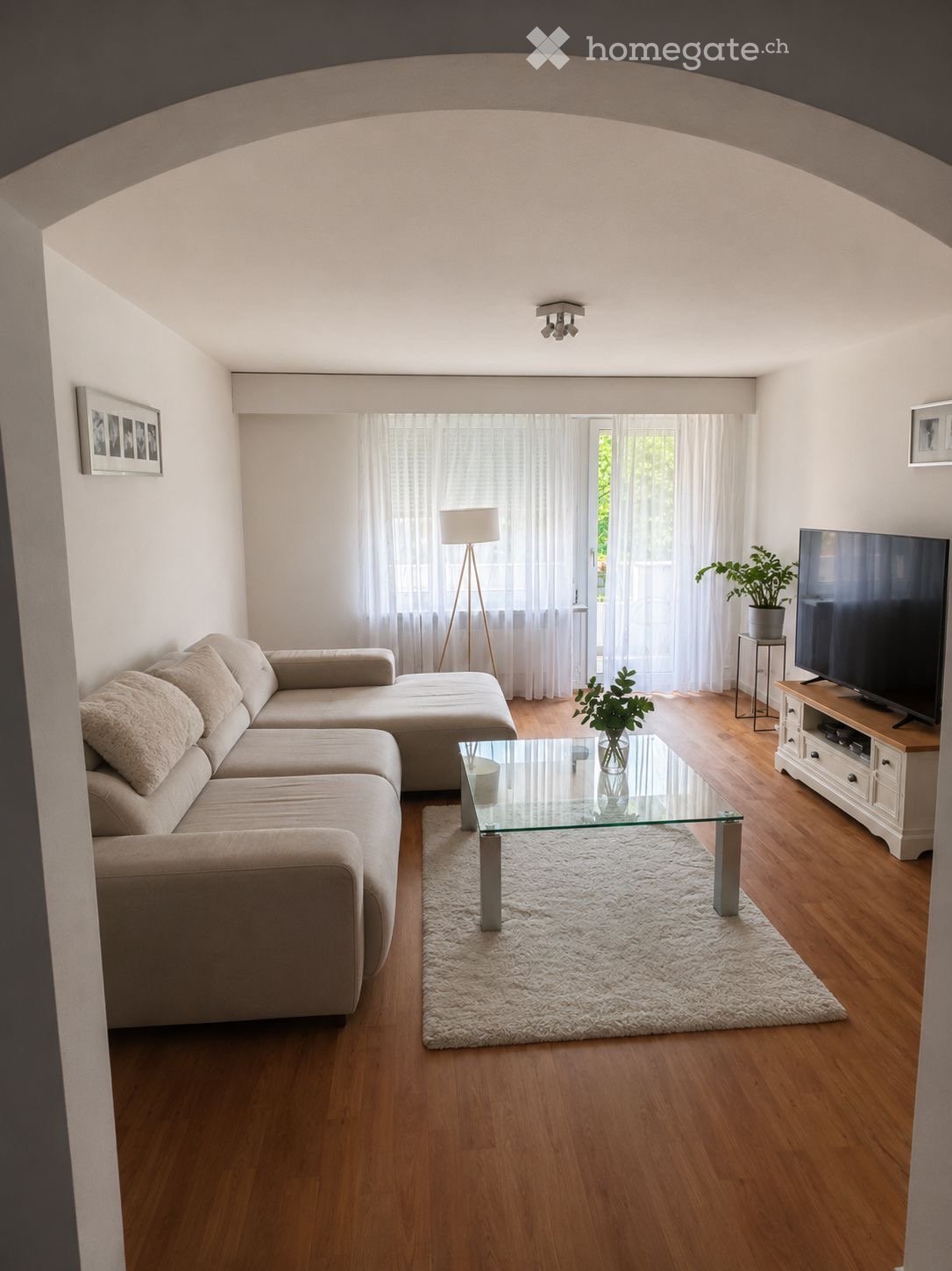 Modern living room with light-colored wooden flooring, a large sectional sofa, a glass coffee table, a floor lamp, a television on a stand, and decorative plants.