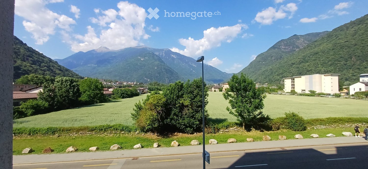 Scenic outdoor view with green fields, trees, mountains, and a road in the foreground.