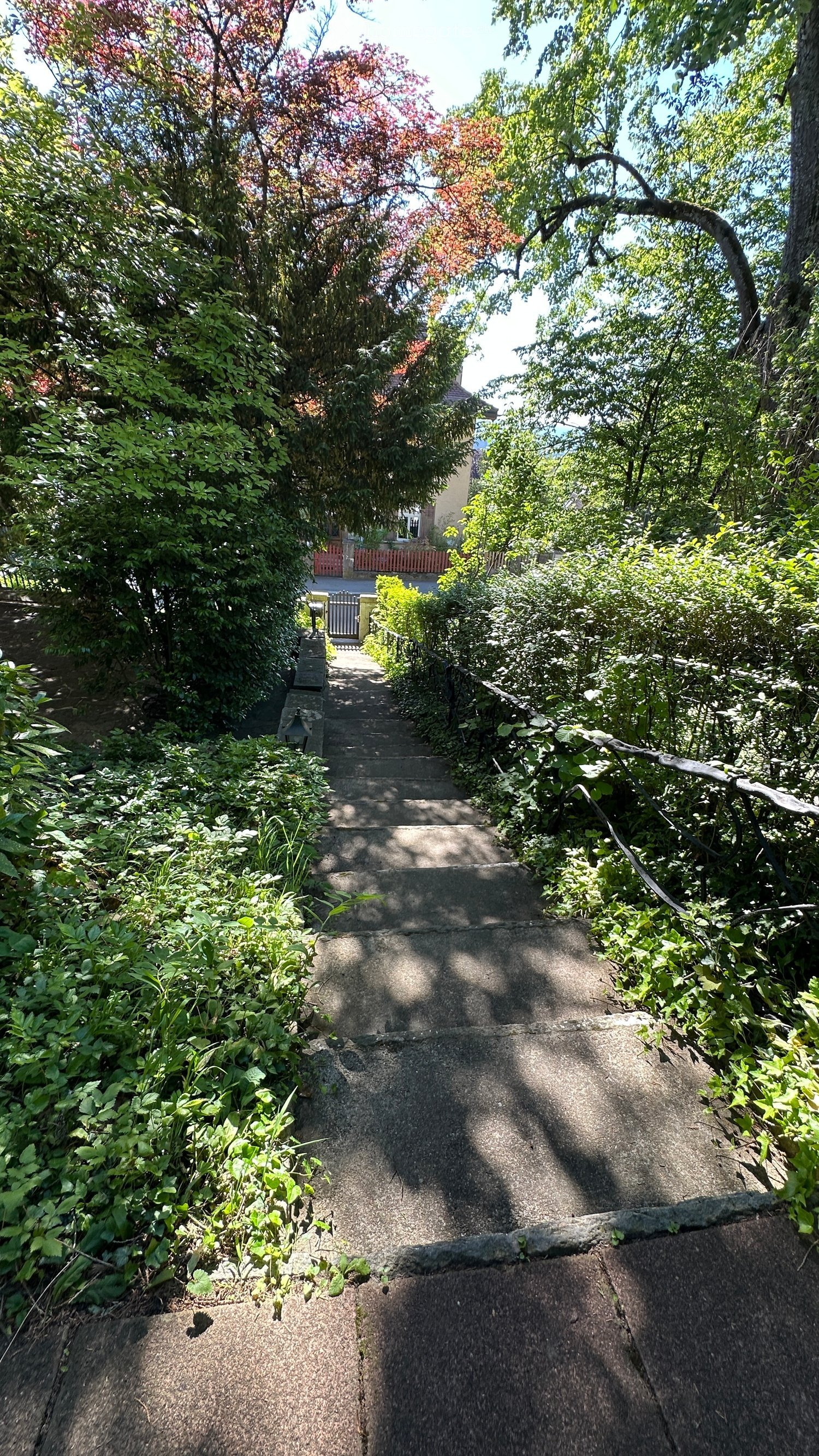 A stone staircase leads up to a house, surrounded by lush greenery and trees, with a small gate at the top.
