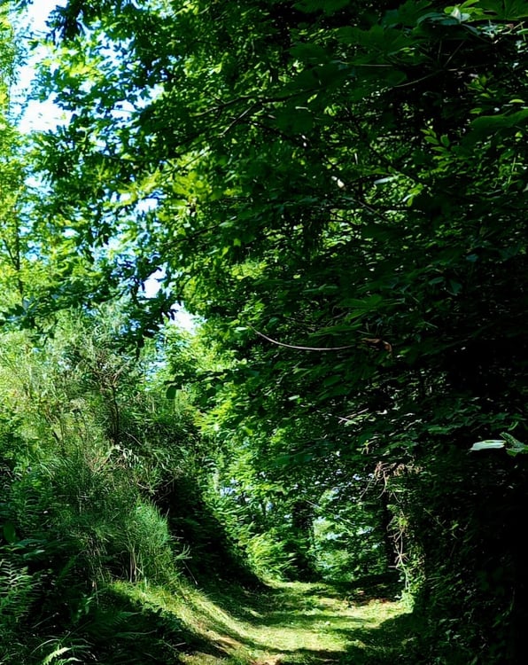 Idyllisches Landhaus in Alleinlage mit 6ha Grund - Möglichkeit zur kompletten Autarkie! 15
