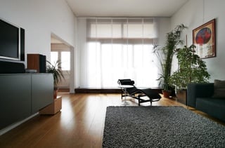 Modern living room with hardwood flooring, large window with white blinds, grey sofa, coffee table, TV stand, floor lamp, and potted plants.