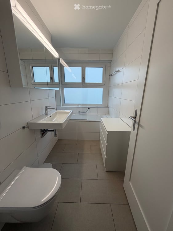 Teilmöblierte, helle Wohnung mit Südbalkon am Zürichberg 4