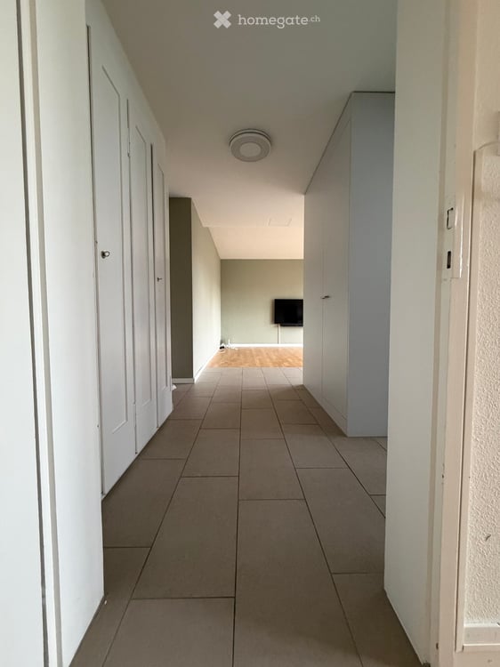 Teilmöblierte, helle Wohnung mit Südbalkon am Zürichberg 6