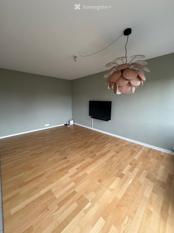 Teilmöblierte, helle Wohnung mit Südbalkon am Zürichberg 3
