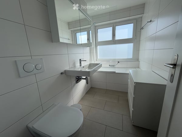 Teilmöblierte, helle Wohnung mit Südbalkon am Zürichberg 5