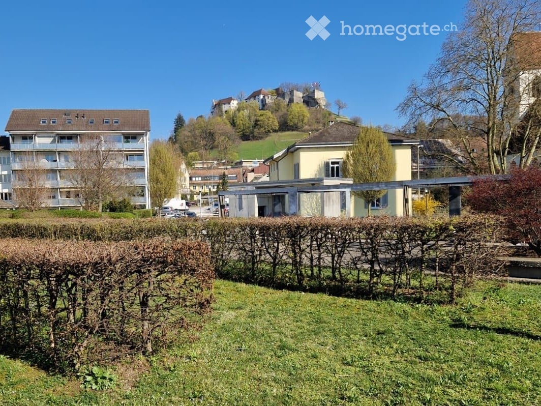 Garden / Outdoor Area. A well-maintained garden area with neatly trimmed hedges and a grassy lawn, surrounded by residential buildings and a distant hill with a castle-like structure.