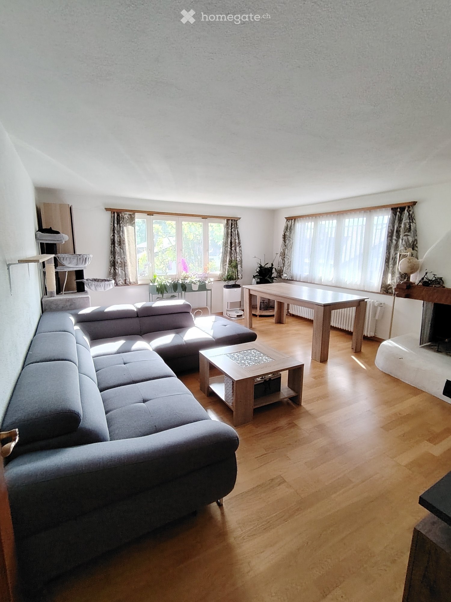 Bright living room with wooden flooring, large windows, grey sectional sofa, coffee table, dining table, fireplace, and cat tree.