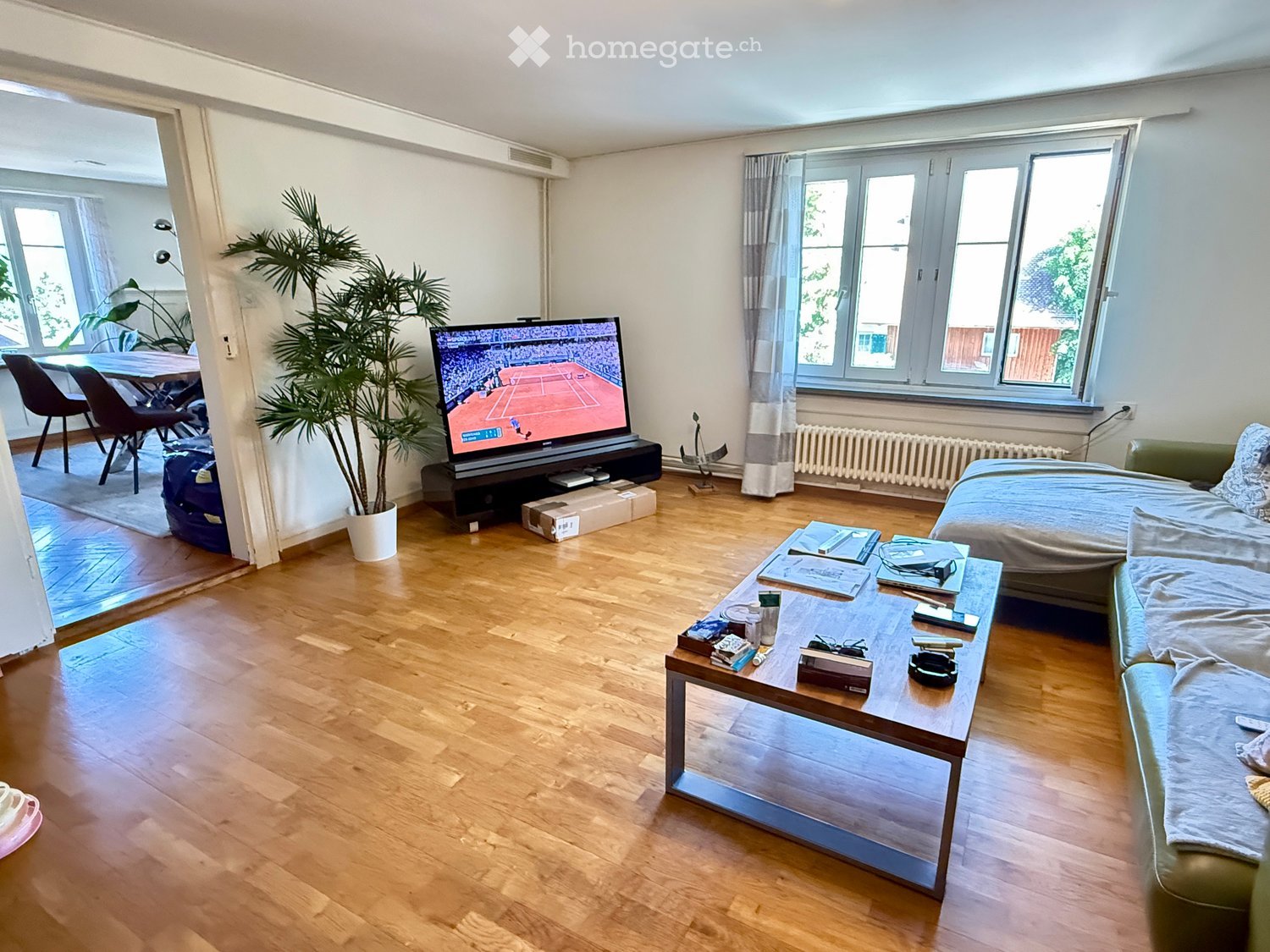 A modern, well-lit living space with wooden flooring, a sofa, coffee table, television, dining area with chairs and table, and a potted plant near the window.