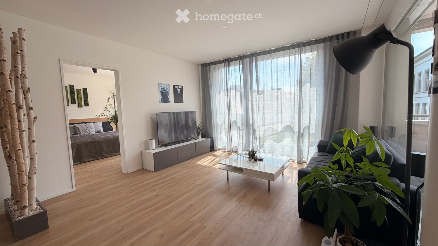 Modern living room with wooden flooring, large windows with grey curtains, a grey sofa, a glass coffee table, a television on a grey stand, and a plant. A mirror reflects a bedroom with a bed and picture frames on the wall.