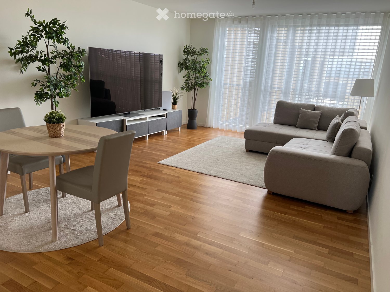 Modern living room with hardwood flooring, large sectional sofa, coffee table, dining table with chairs, TV, and decorative plants.