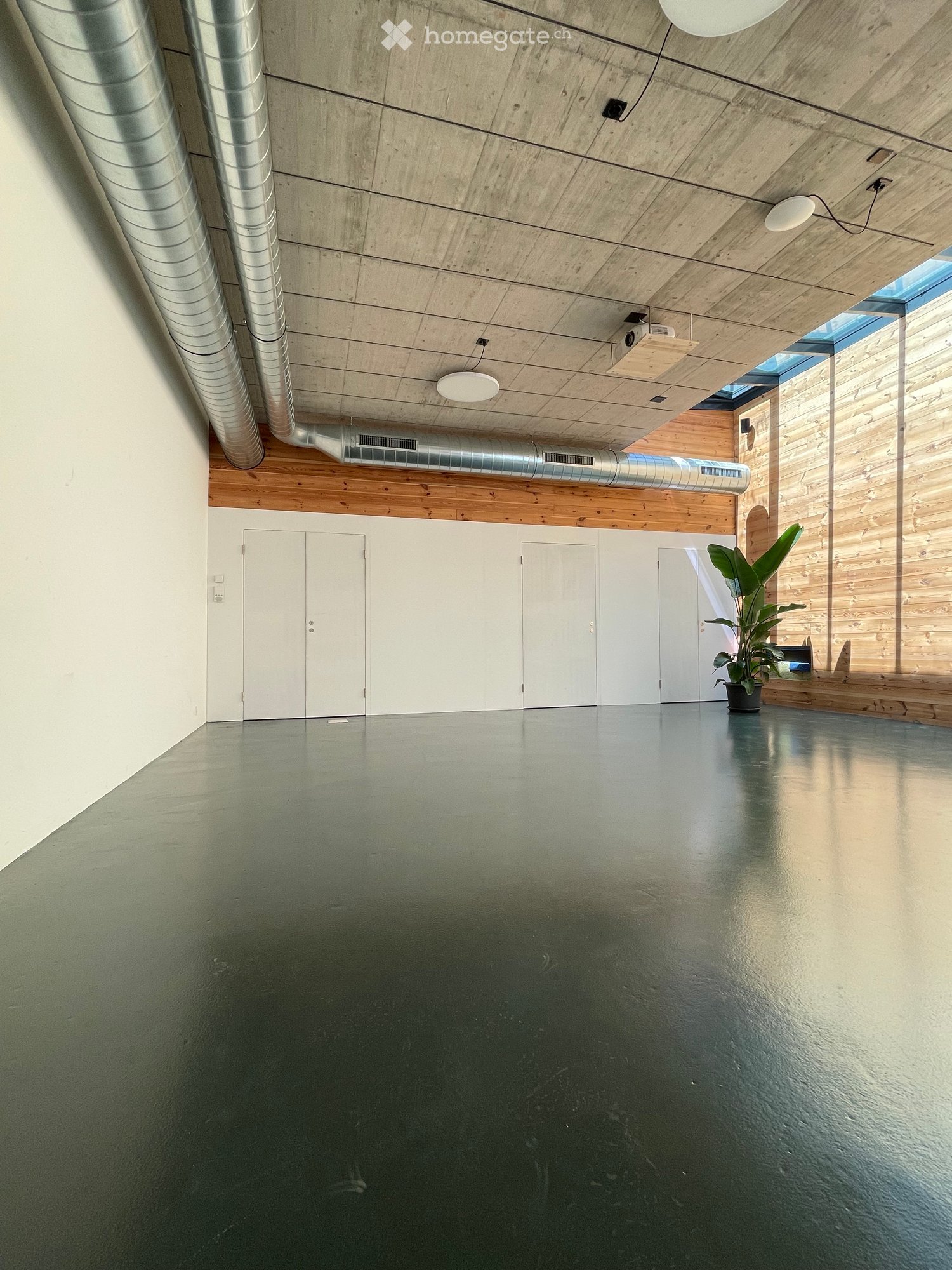 Empty room with polished concrete floor, white walls, multiple doors, and a skylight. Minimalist design with exposed wooden ceiling beams and industrial-style lighting.