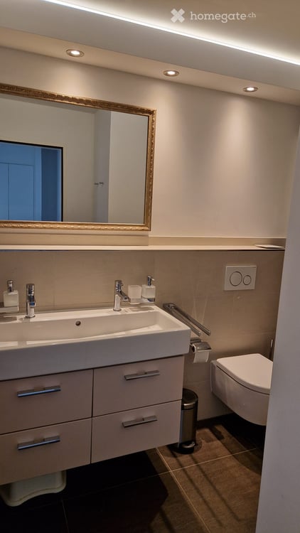Geräumiges 6.5-Zimmer-Reiheneckhaus in ruhiger Lage in Berikon 10