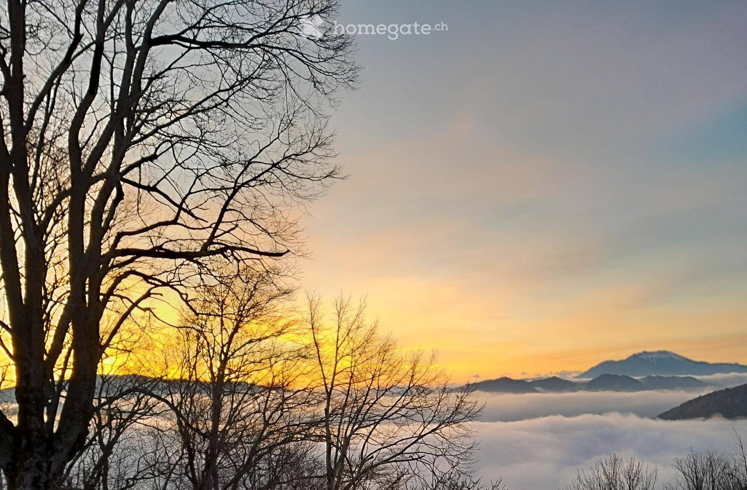 A serene outdoor view with bare trees in the foreground and a stunning sunset over a misty valley and distant mountains.