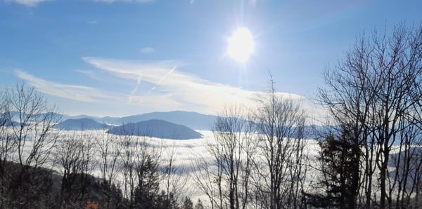 Ruhe und Aussicht wie im Bilderbuch, Alleinlage, 50km Fernsicht unverbaubar, Südhang, Fischteich 5