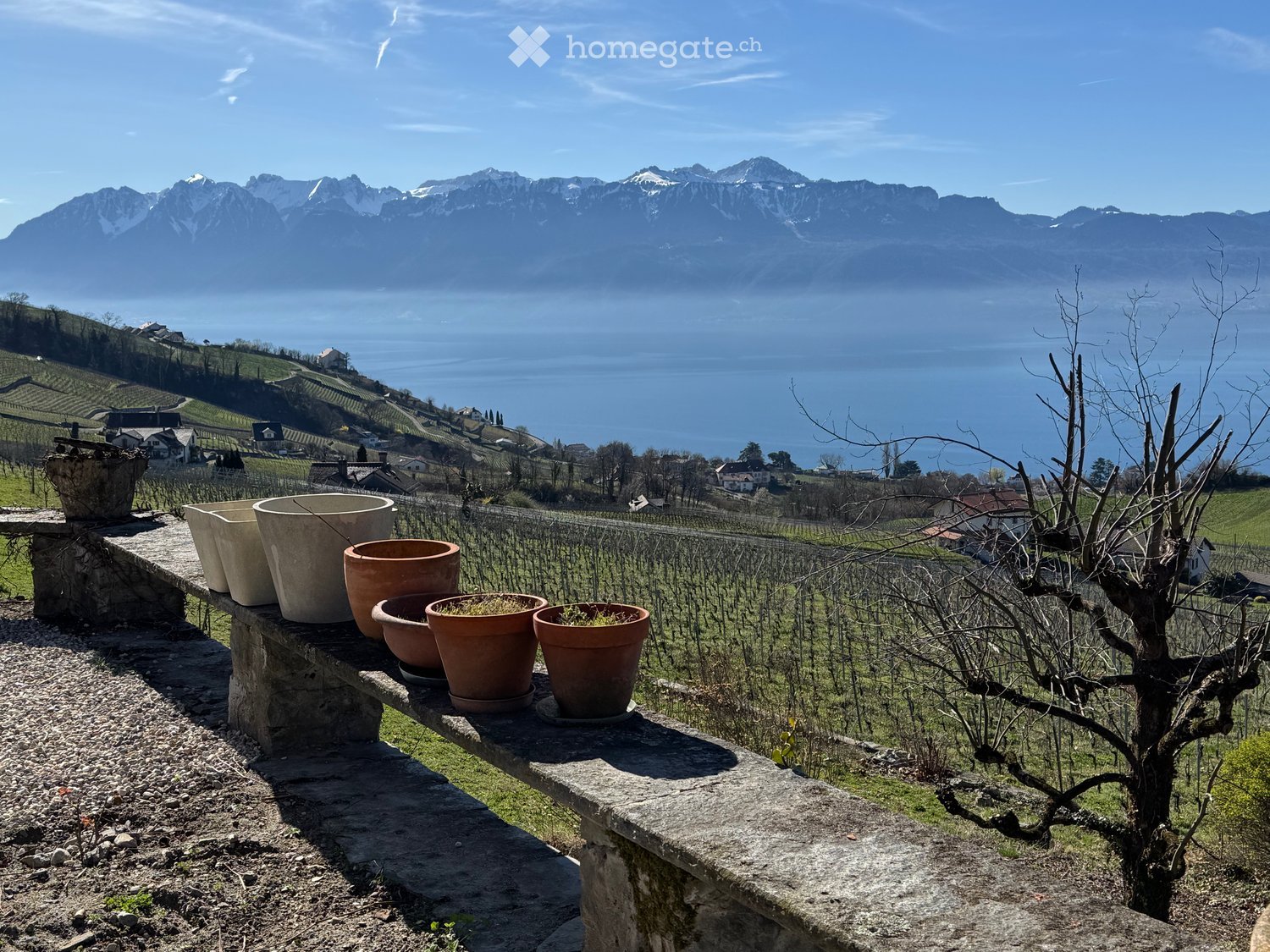 Outdoor garden area with a stone bench, several potted plants, and a scenic view of a lake and mountains in the background.