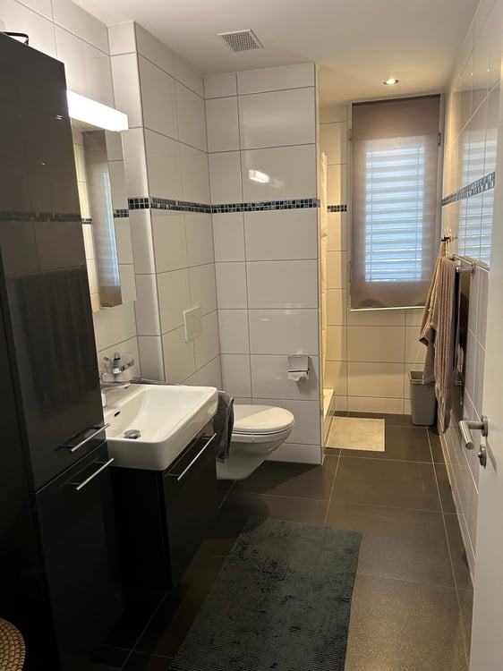 Moderne 4.5-Zimmer-Wohnung mit Balkon und Garage in Opfikon 4