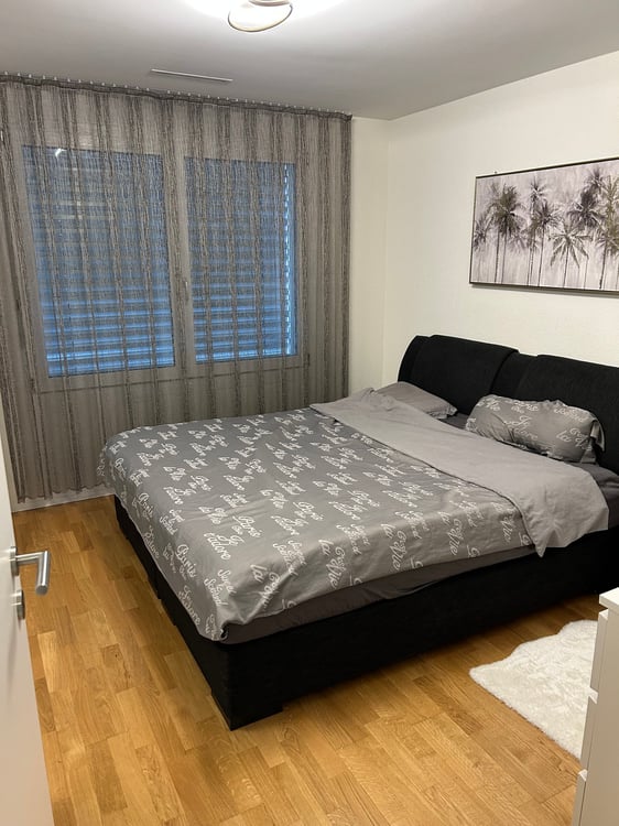 Moderne 4.5-Zimmer-Wohnung mit Balkon und Garage in Opfikon 5