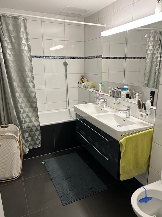 Moderne 4.5-Zimmer-Wohnung mit Balkon und Garage in Opfikon 3