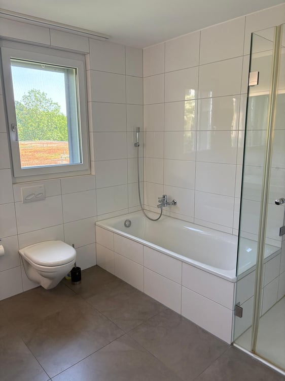 Charmante 4.5-Zimmer-Dachwohnung mit Balkon und schöner Aussicht in Wettswil am Albis 3