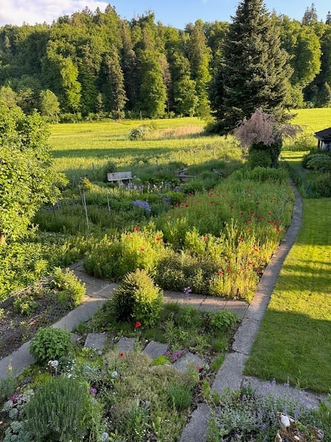 A garden with a variety of plants and flowers, a pathway, and a bench. The garden is surrounded by a green field and trees.
