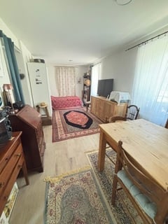 A cozy, well-furnished room with a sofa, dining table, chairs, television, cabinets, and a refrigerator. The space features wooden flooring and patterned rugs.