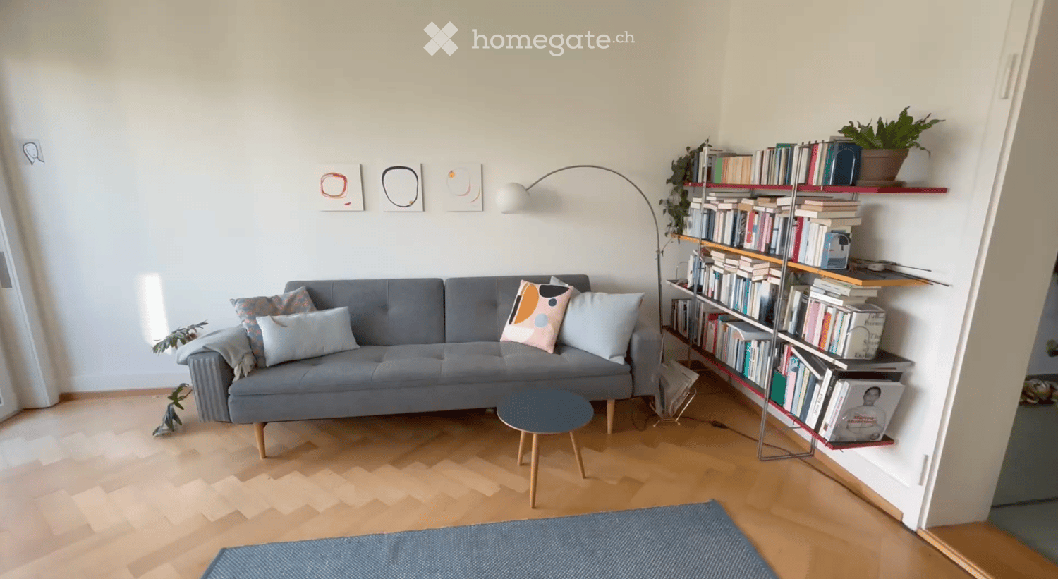 Modern living room with a grey sofa, wooden coffee table, bookshelf filled with books, floor lamp, and decorative pillows.