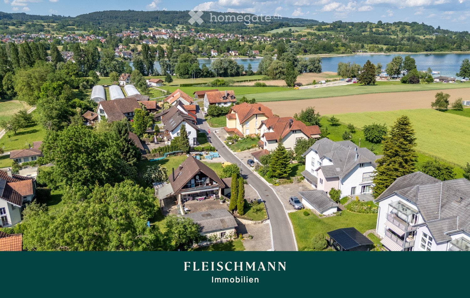 Aerial view of a residential area with multiple houses, surrounded by green fields, trees, and a lake in the background.