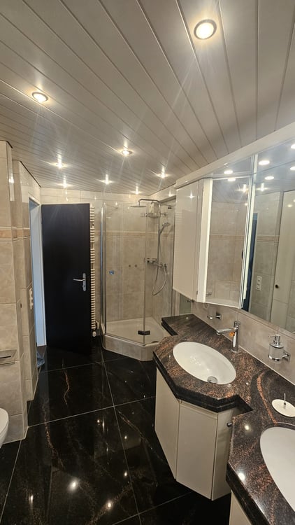 6-Zimmer-Terrassenwohnung im Breitequartier von Schaffhausen 5
