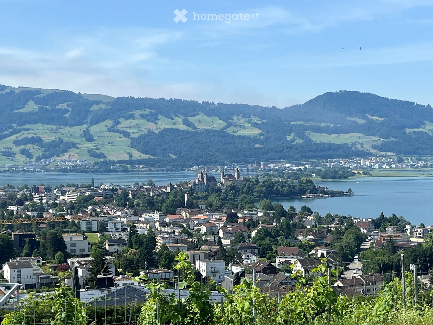 Cityscape overlooking a lake with mountains in the background, a castle, and various buildings